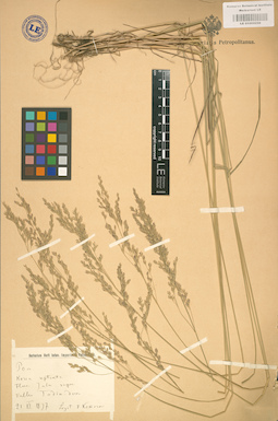 LE 01002258