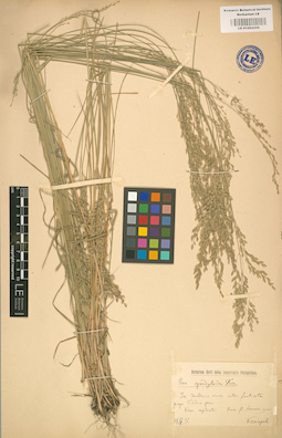 LE 01002259