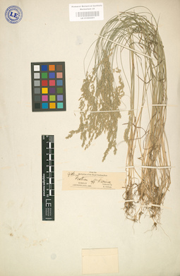 LE 01002261