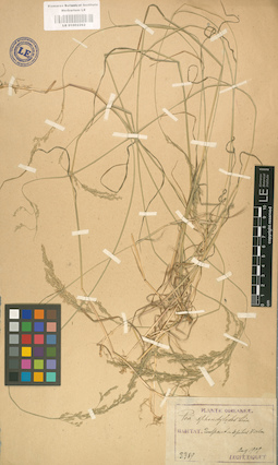 LE 01002262