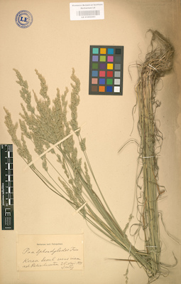 LE 01002263