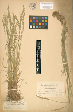 LE 01002266