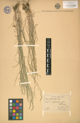 LE 01002267