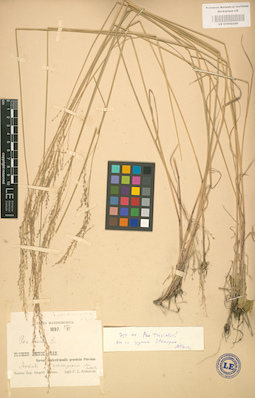 LE 01002268