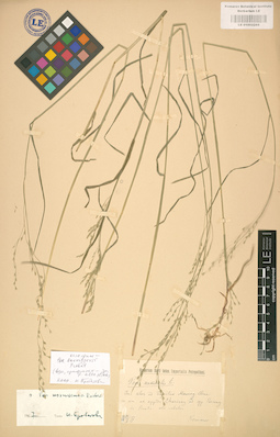 LE 01002269