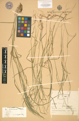 LE 01002270