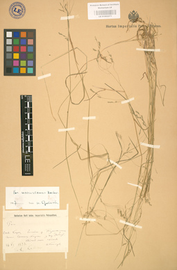LE 01002271
