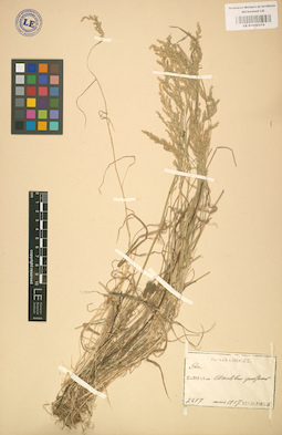 LE 01002274
