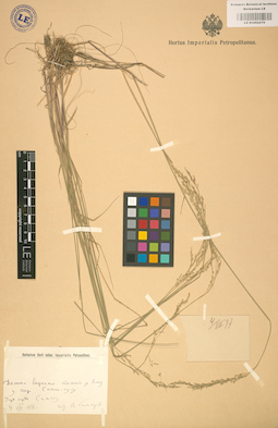 LE 01002276