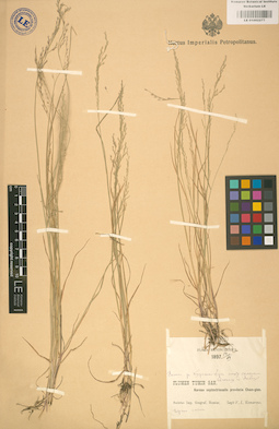 LE 01002277