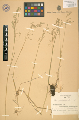 LE 01002278