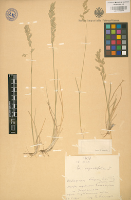 LE 01002279