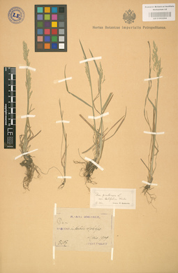 LE 01002284