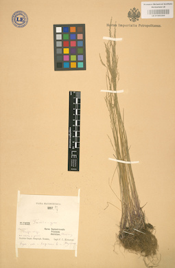LE 01002285