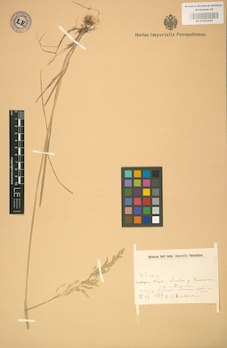 LE 01002286