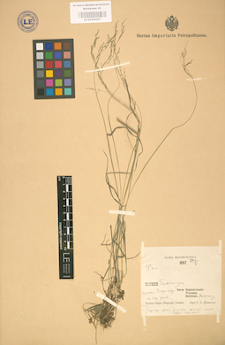 LE 01002287