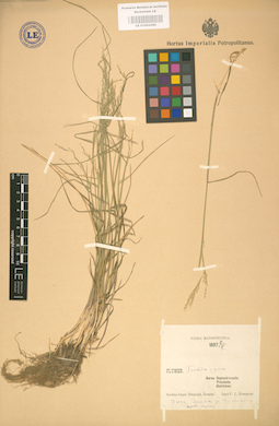 LE 01002288