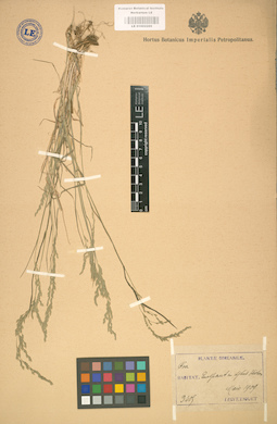 LE 01002289