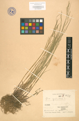 LE 01002290