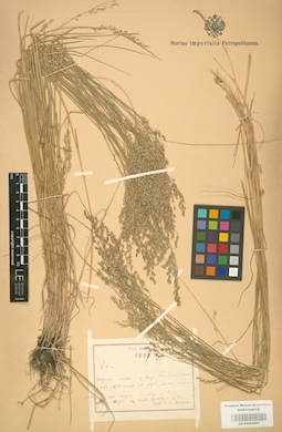 LE 01002291