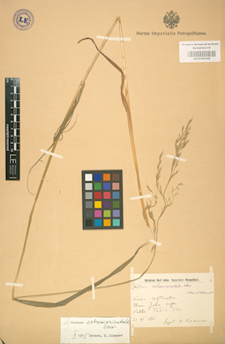 LE 01002308