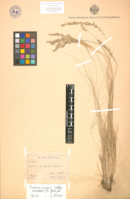 LE 01002311