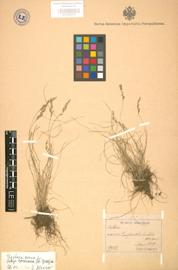 LE 01002313