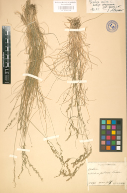 LE 01002316