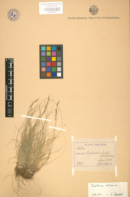 LE 01002317