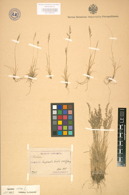 LE 01002319