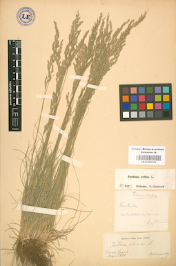 LE 01002320