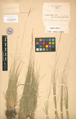 LE 01002323