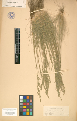 LE 01002327