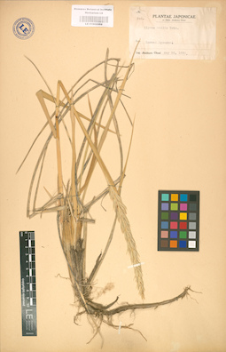LE 01002352