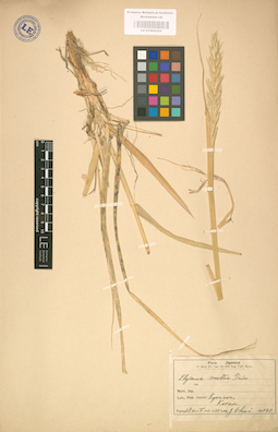 LE 01002353