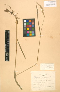 LE 01002356