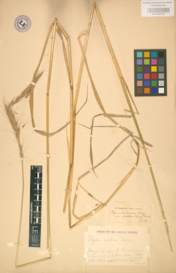LE 01002357