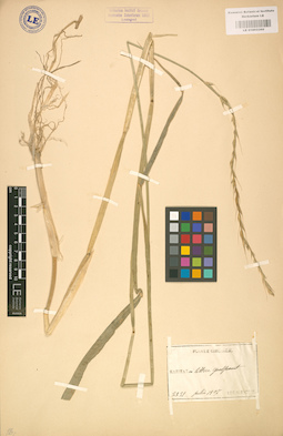 LE 01002360