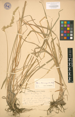 LE 01002364