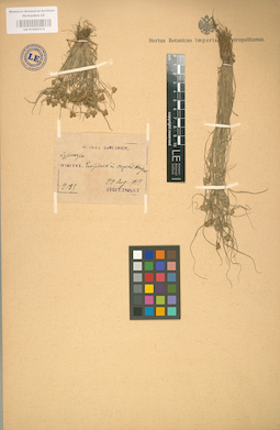 LE 01002374