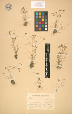 LE 01002376