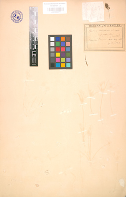 LE 01002377