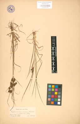 LE 01002378