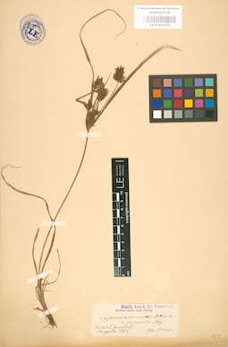 LE 01002379