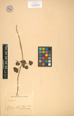 LE 01002380