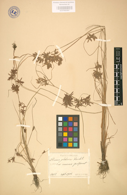 LE 01002383
