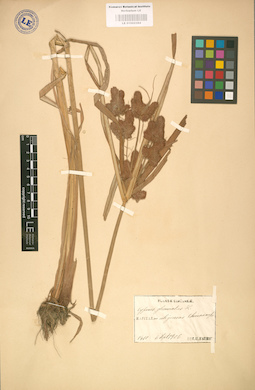 LE 01002384