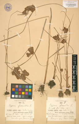 LE 01002385
