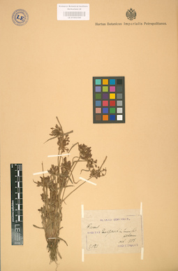 LE 01002389