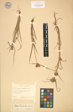 LE 01002391